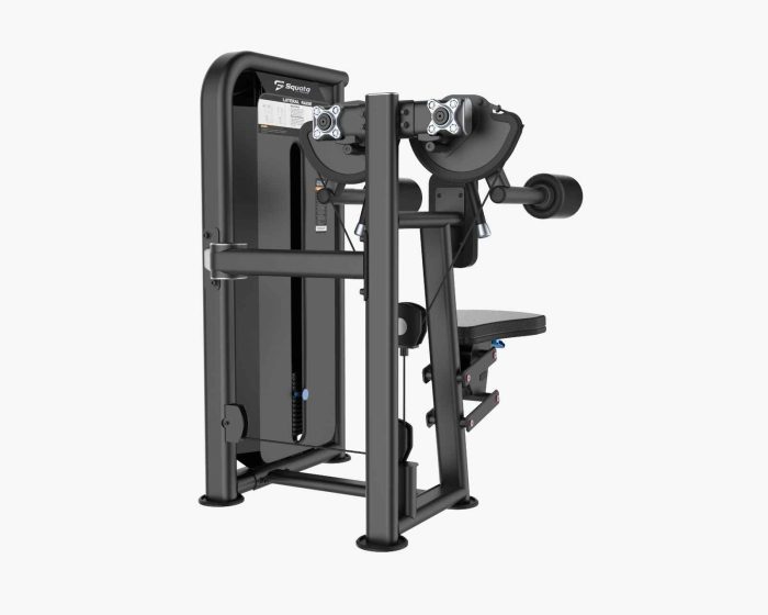 Lateral Raise