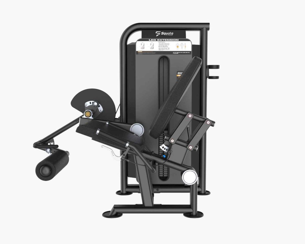 Leg Extension1