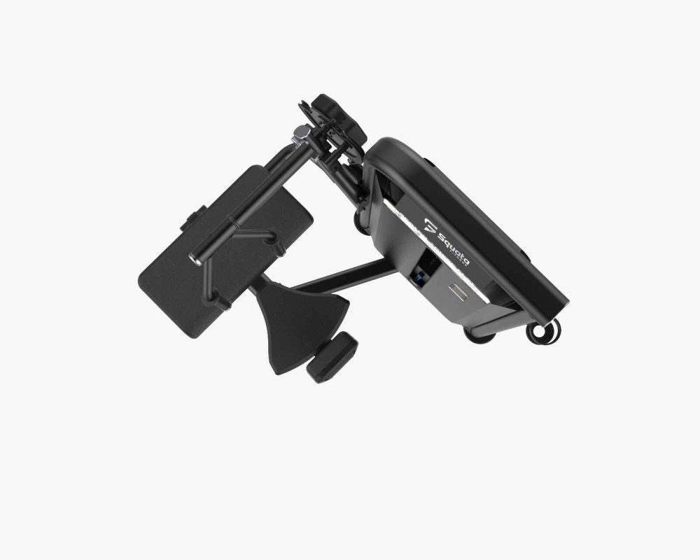 Seated Flat Triceps Extension1