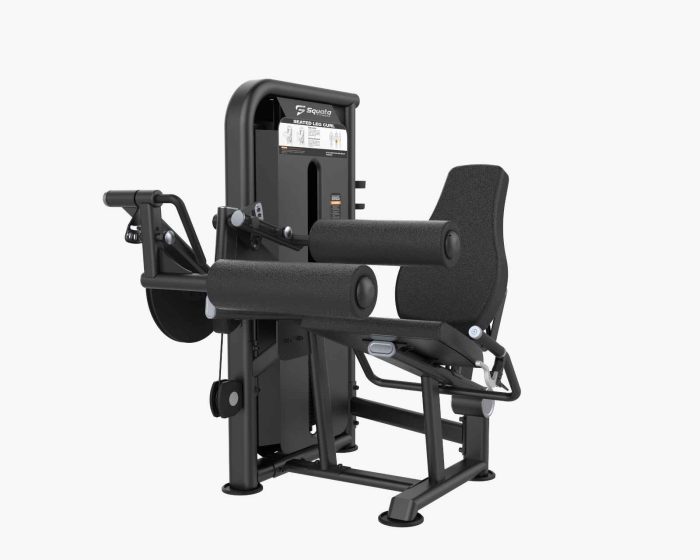 Seated Leg Curl
