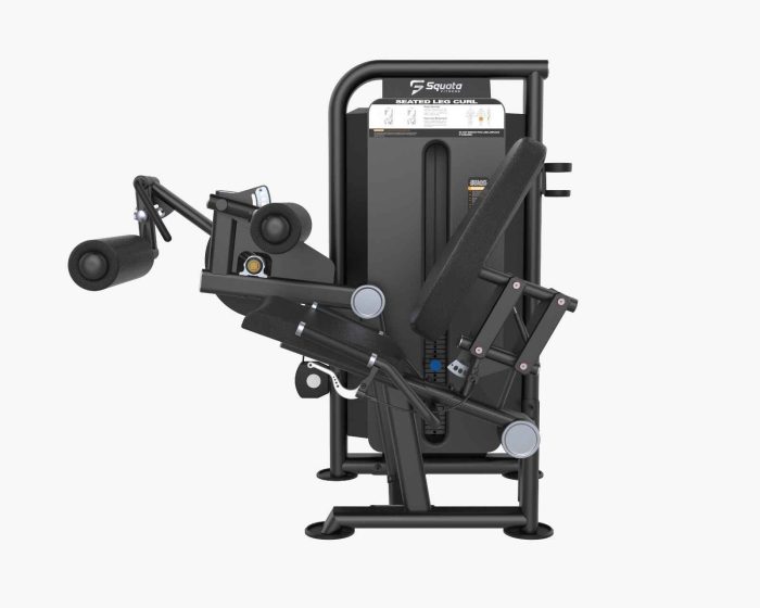 Seated Leg Curl1