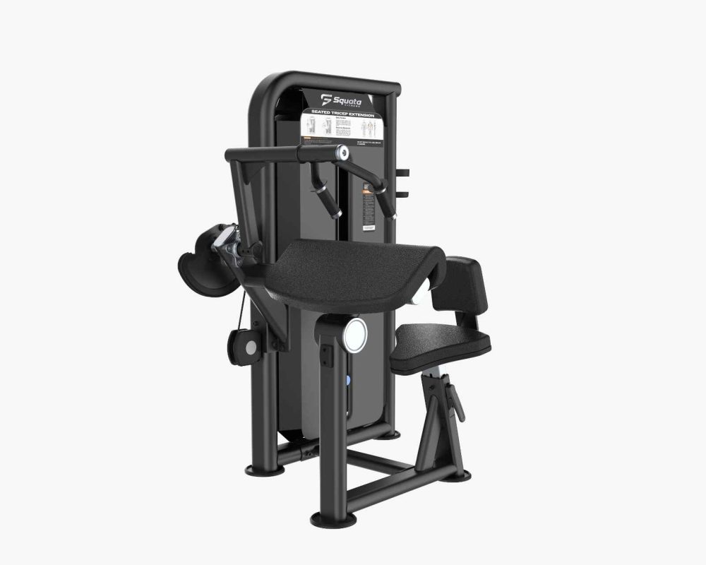 Triceps Extension